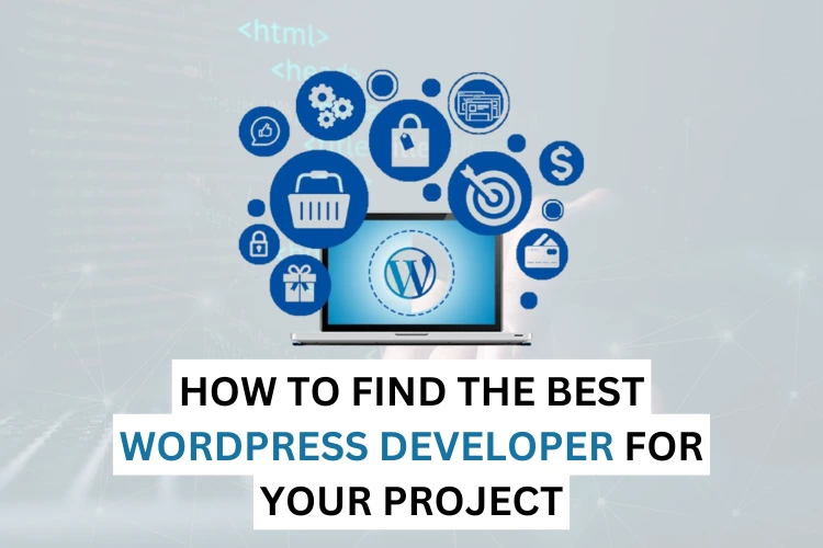 How to Find the Best WordPress Developer for Your Project